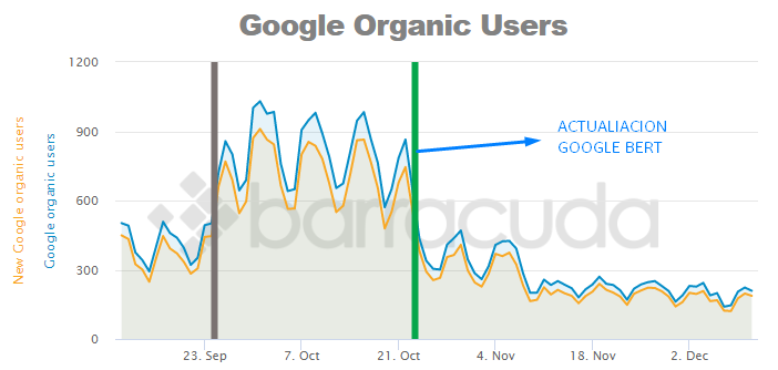 Accion Google BERT